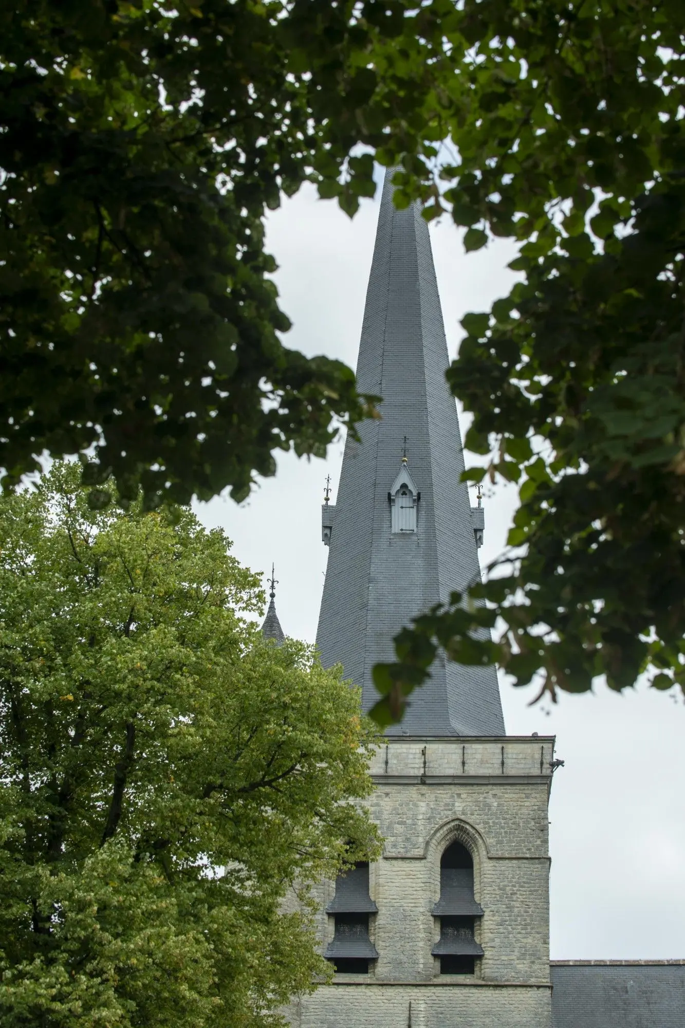 Saint Waldtrude